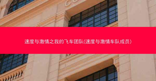 速度与激情之我的飞车团队(速度与激情车队成员)