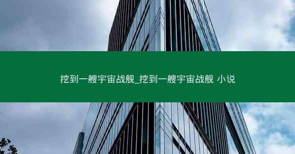 挖到一艘宇宙战舰_挖到一艘宇宙战舰 小说