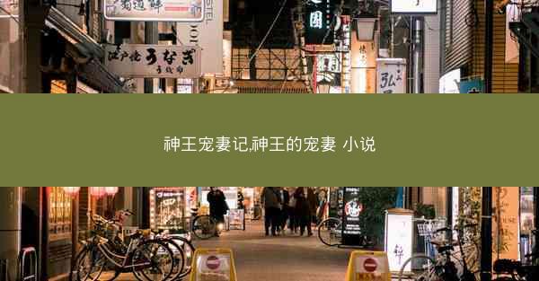神王宠妻记,神王的宠妻 小说