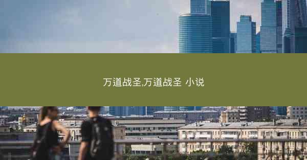 万道战圣,万道战圣 小说
