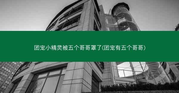 团宠小精灵被五个哥哥罩了(团宠有五个哥哥)