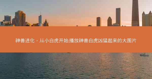 神兽进化，从小白虎开始;播放神兽白虎凶猛起来的大图片