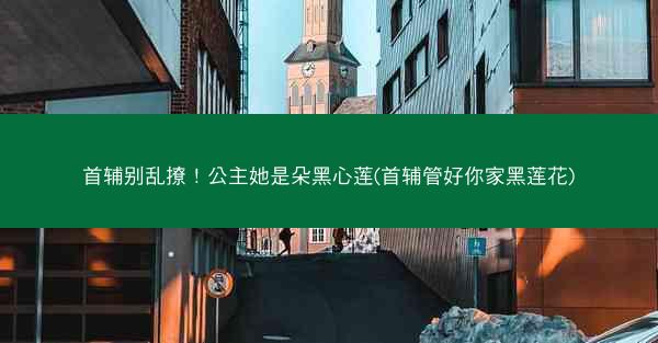 首辅别乱撩！公主她是朵黑心莲(首辅管好你家黑莲花)