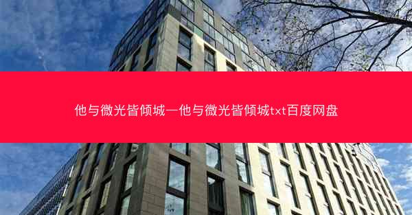 他与微光皆倾城—他与微光皆倾城txt百度网盘
