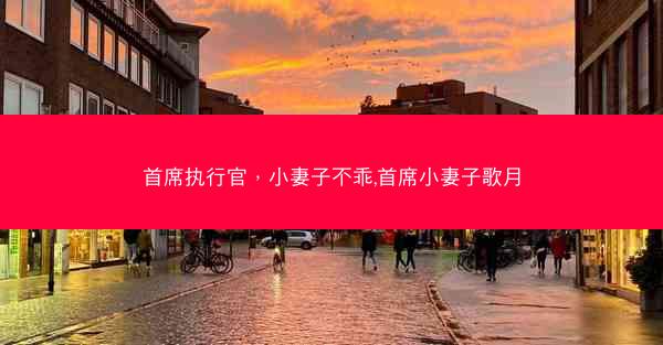 首席执行官，小妻子不乖,首席小妻子歌月