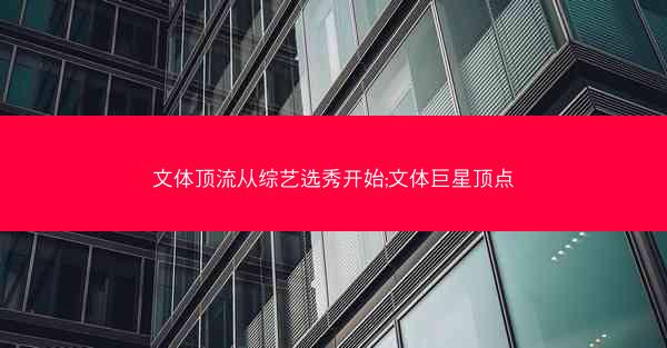 文体顶流从综艺选秀开始;文体巨星顶点