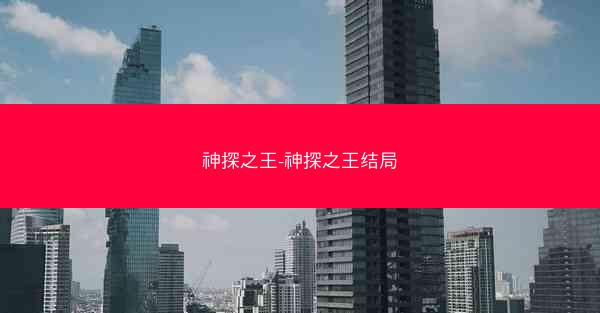 神探之王-神探之王结局