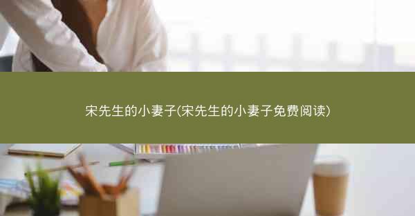 宋先生的小妻子(宋先生的小妻子免费阅读)