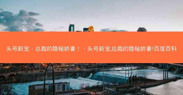 头号新宠，总裁的隐秘娇妻！、头号新宠,总裁的隐秘娇妻!百度百科