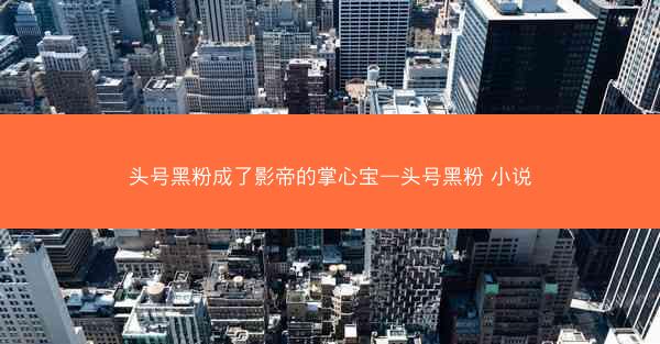 头号黑粉成了影帝的掌心宝—头号黑粉 小说