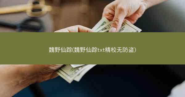 魏野仙踪(魏野仙踪txt精校无防盗)