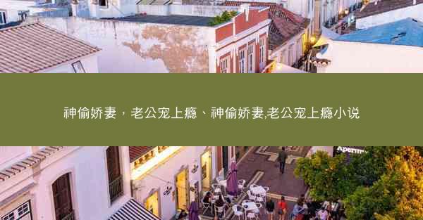 神偷娇妻，老公宠上瘾、神偷娇妻,老公宠上瘾小说