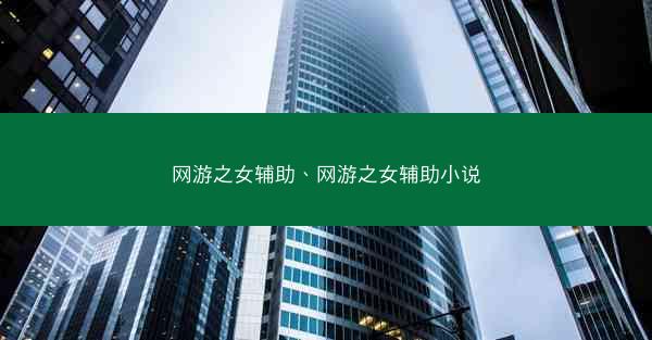 网游之女辅助、网游之女辅助小说