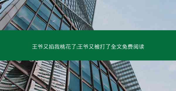 王爷又掐我桃花了;王爷又被打了全文免费阅读