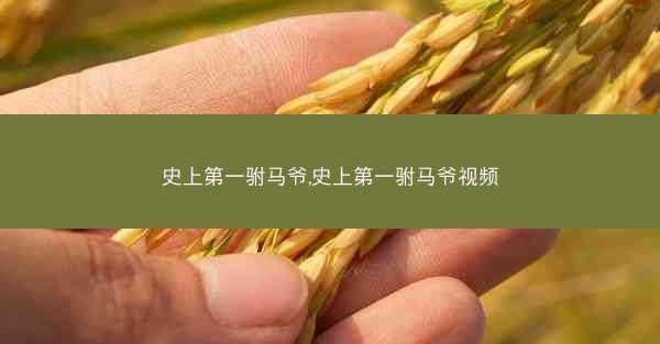 史上第一驸马爷,史上第一驸马爷视频