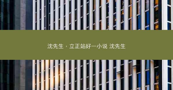 沈先生，立正站好—小说 沈先生