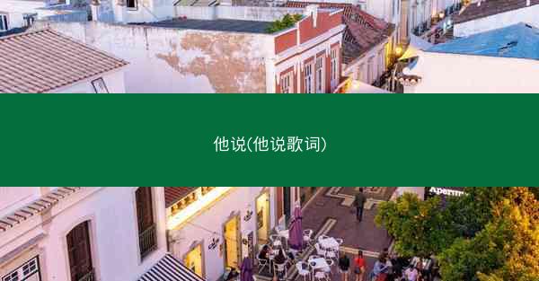 他说(他说歌词)