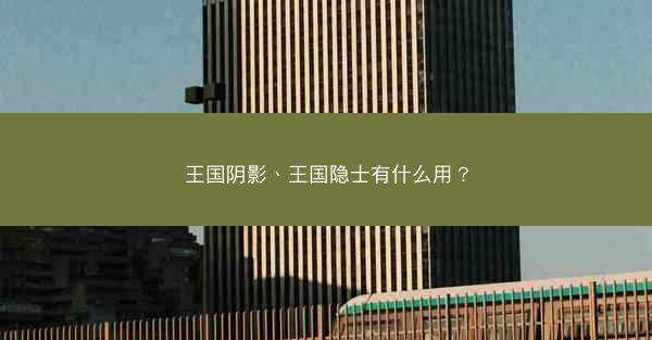 王国阴影、王国隐士有什么用？