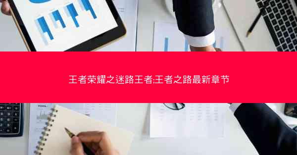 王者荣耀之迷路王者;王者之路最新章节