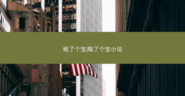 桃了个宝;陶了个宝小说