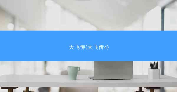 天飞传(天飞传4)