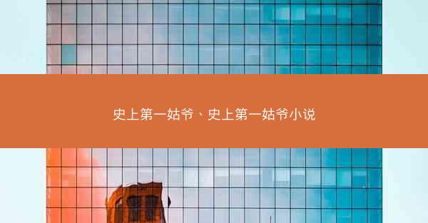 史上第一姑爷、史上第一姑爷小说