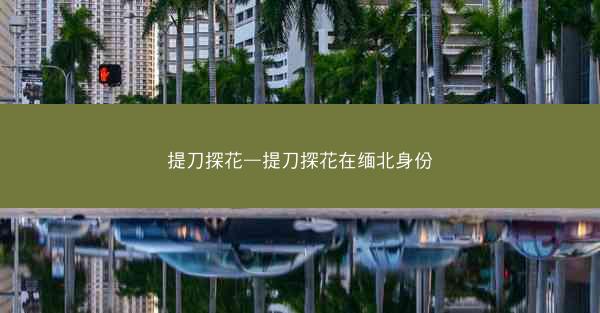 提刀探花—提刀探花在缅北身份