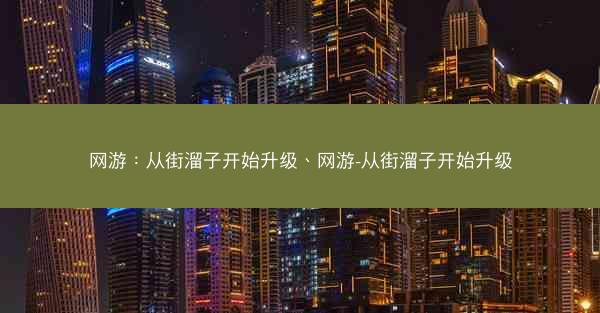 网游：从街溜子开始升级、网游-从街溜子开始升级