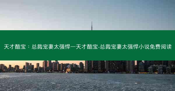 天才酷宝：总裁宠妻太强悍—天才酷宝-总裁宠妻太强悍小说免费阅读