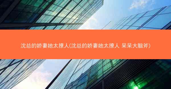 沈总的娇妻她太撩人(沈总的娇妻她太撩人 呆呆大脑斧)